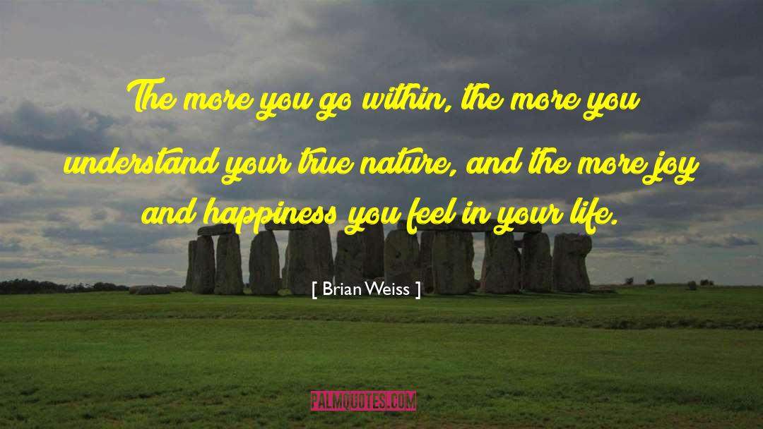 Brian Weiss Quotes: The more you go within,