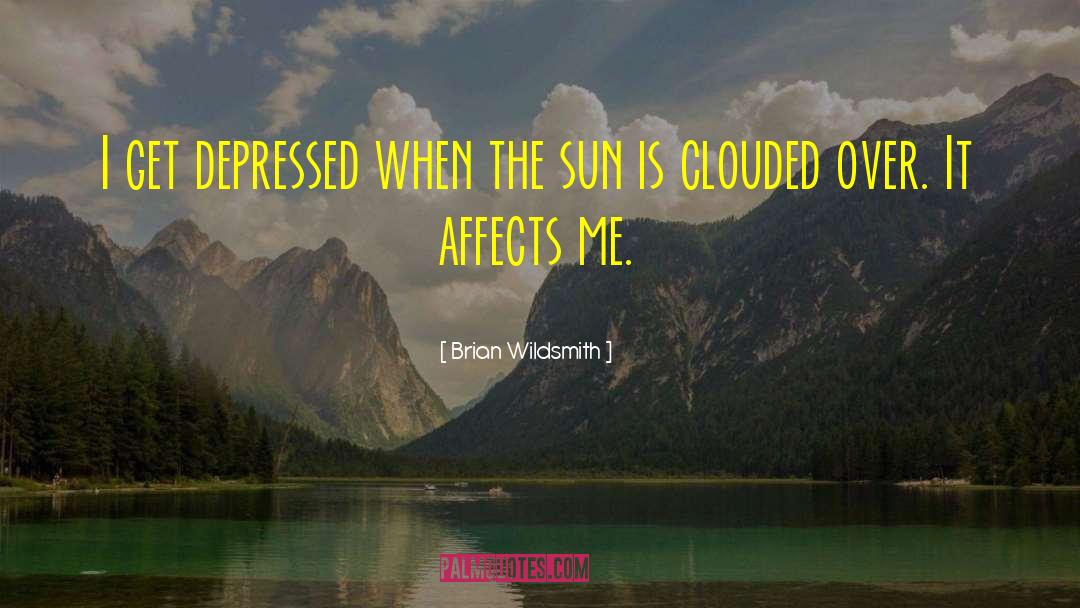 Brian Wildsmith Quotes: I get depressed when the