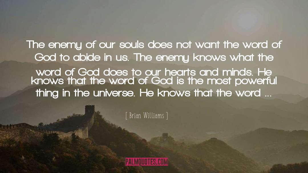 Brian Williams Quotes: The enemy of our souls