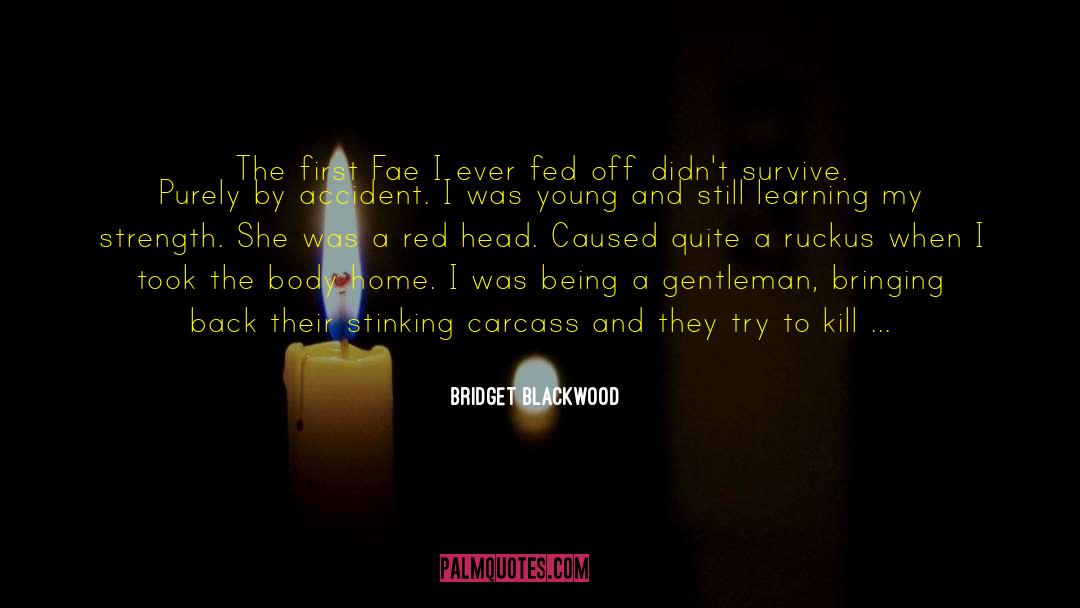 Bridget Blackwood Quotes: The first Fae I ever