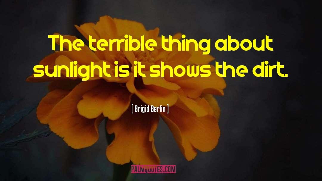 Brigid Berlin Quotes: The terrible thing about sunlight