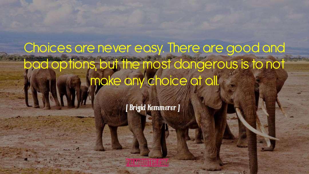 Brigid Kemmerer Quotes: Choices are never easy. There