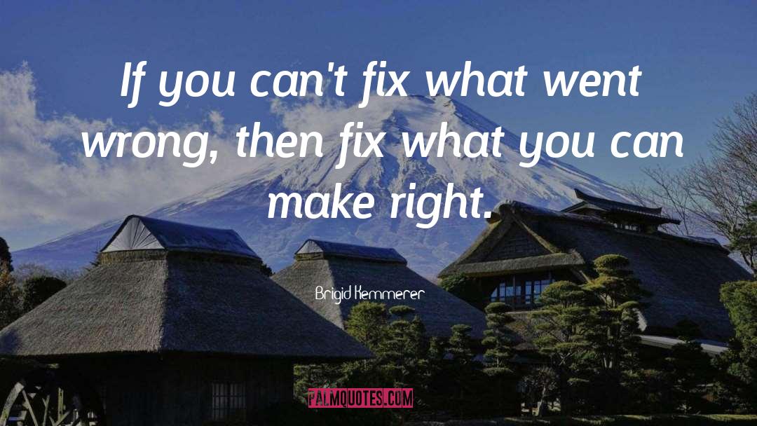 Brigid Kemmerer Quotes: If you can't fix what