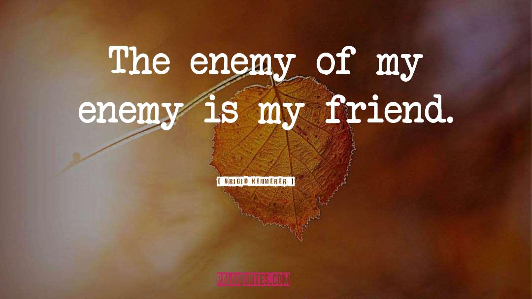 Brigid Kemmerer Quotes: The enemy of my enemy
