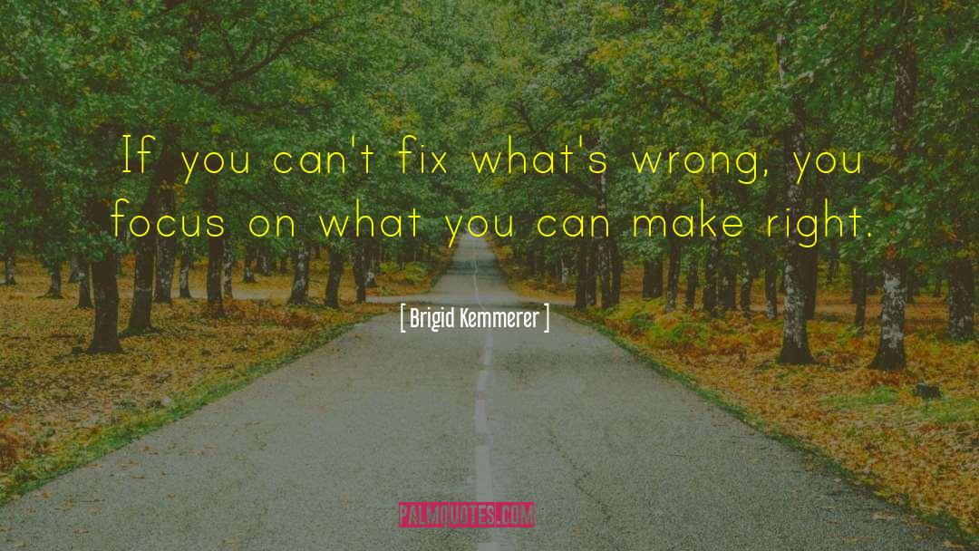 Brigid Kemmerer Quotes: If you can't fix what's
