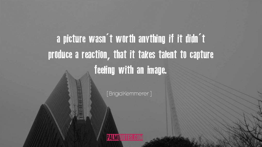 Brigid Kemmerer Quotes: a picture wasn't worth anything