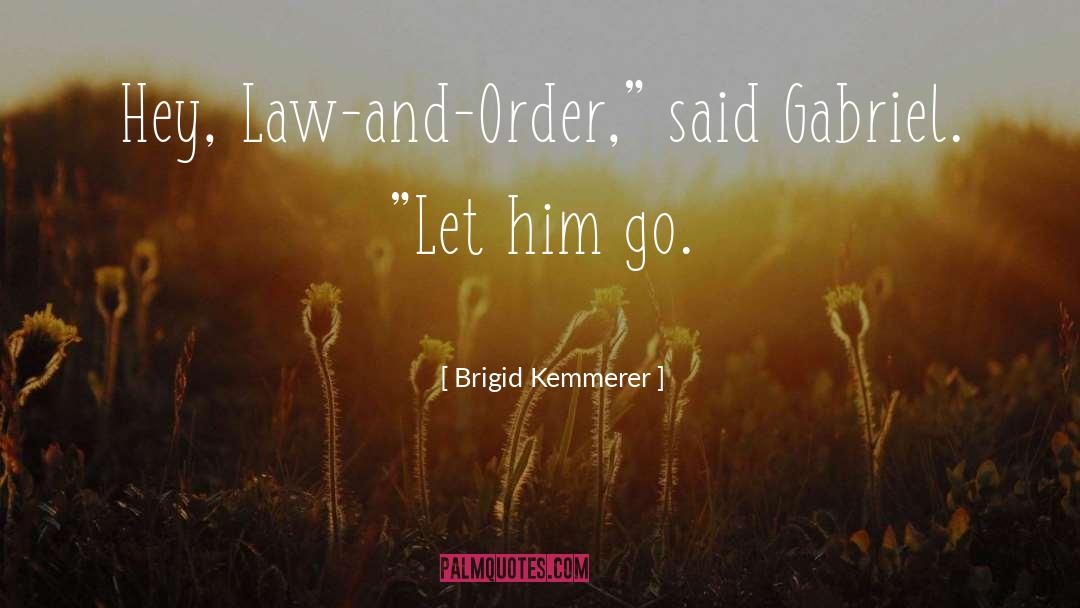 Brigid Kemmerer Quotes: Hey, Law-and-Order,