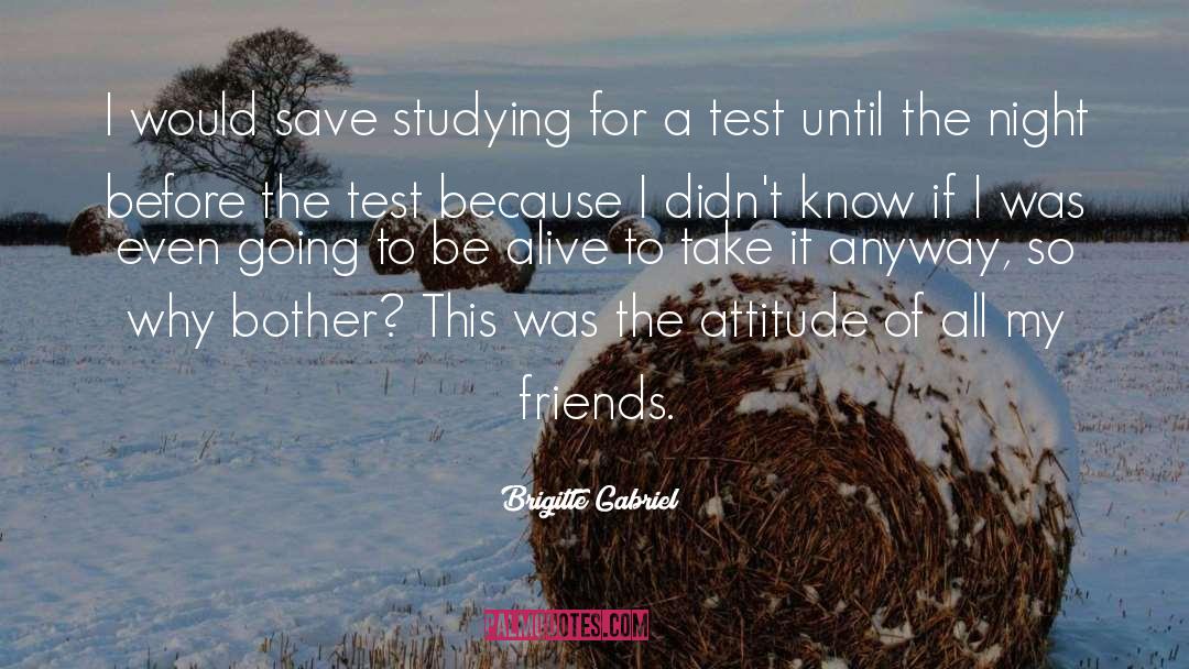Brigitte Gabriel Quotes: I would save studying for