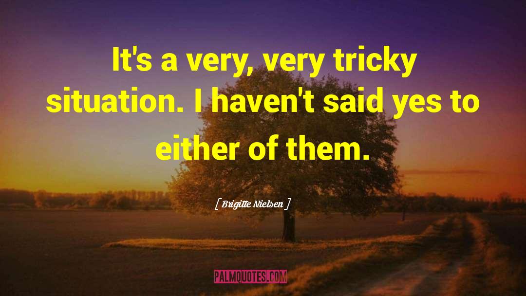 Brigitte Nielsen Quotes: It's a very, very tricky