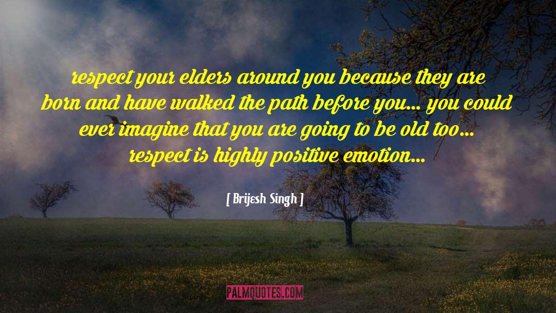 Brijesh Singh Quotes: respect your elders around you