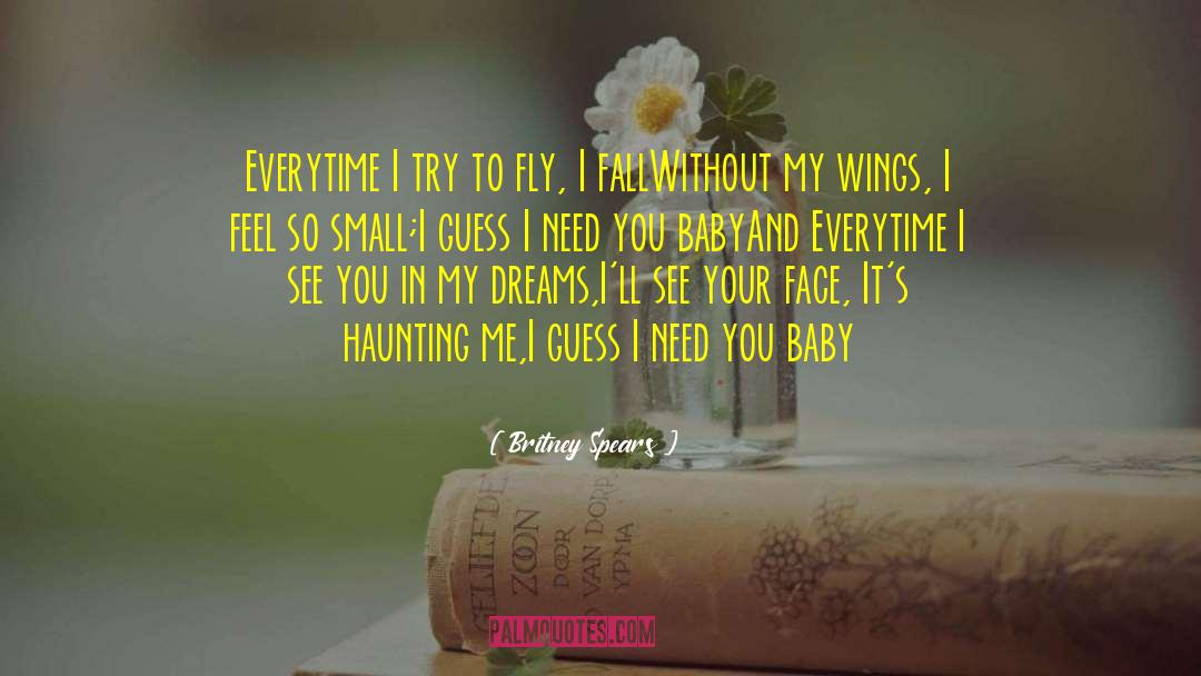 Britney Spears Quotes: Everytime I try to fly,