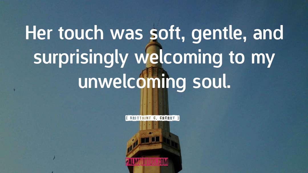 Brittainy C. Cherry Quotes: Her touch was soft, gentle,