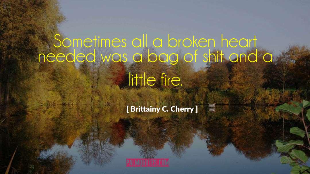 Brittainy C. Cherry Quotes: Sometimes all a broken heart