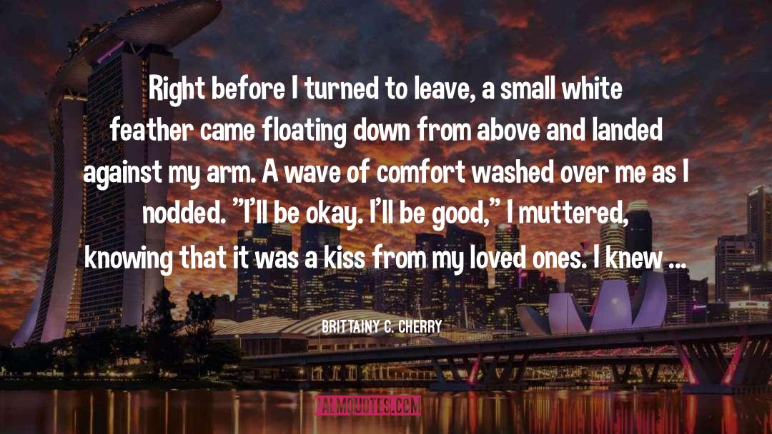 Brittainy C. Cherry Quotes: Right before I turned to