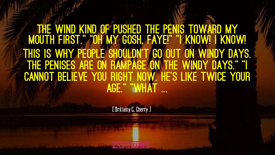 Brittainy C. Cherry Quotes: The wind kind of pushed