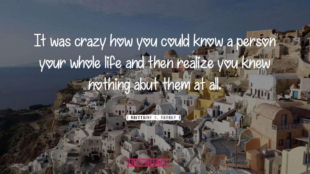 Brittainy C. Cherry Quotes: It was crazy how you