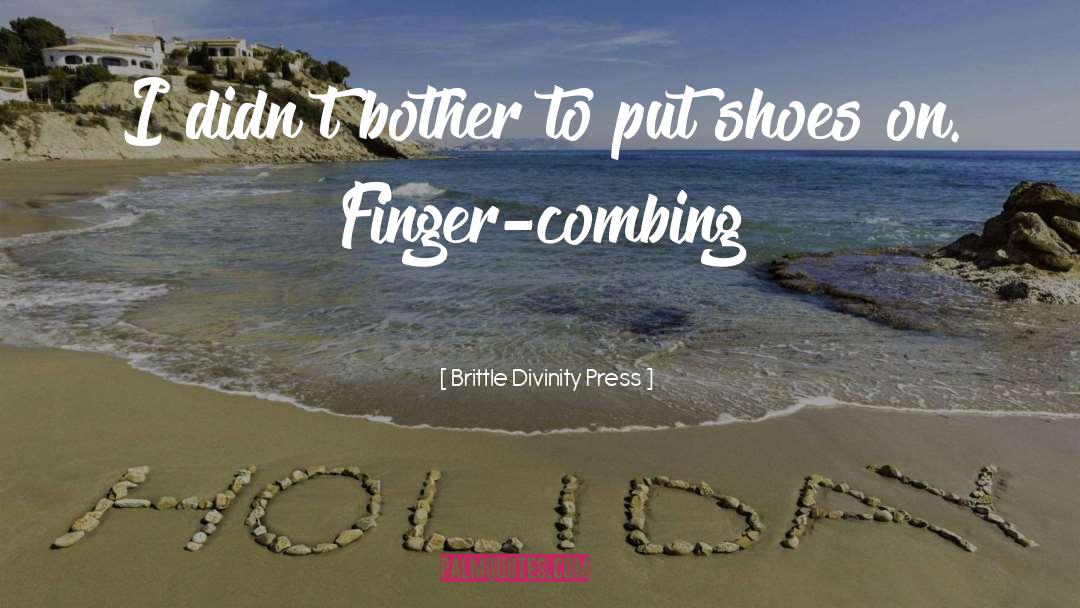 Brittle Divinity Press Quotes: I didn't bother to put