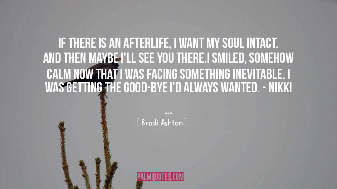 Brodi Ashton Quotes: If there is an afterlife,