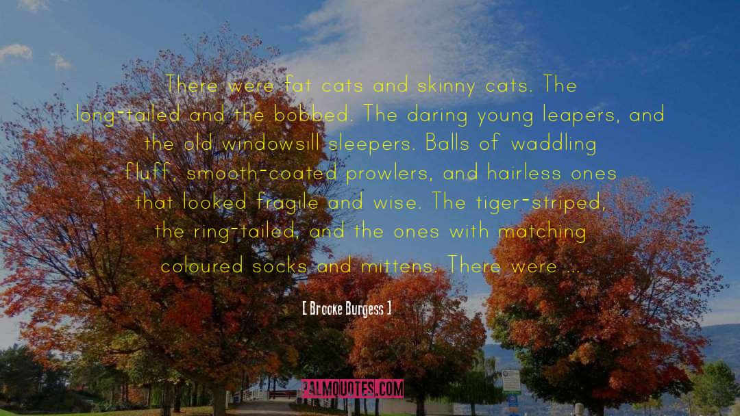 Brooke Burgess Quotes: There were fat cats and