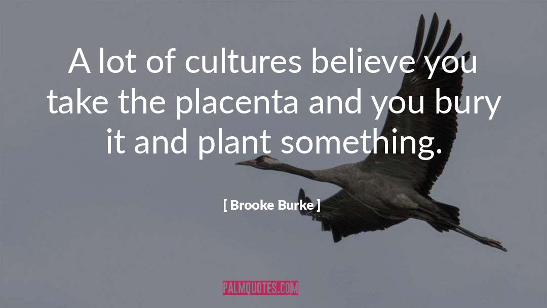 Brooke Burke Quotes: A lot of cultures believe