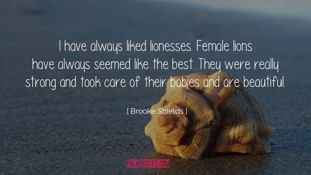 Brooke Shields Quotes: I have always liked lionesses.