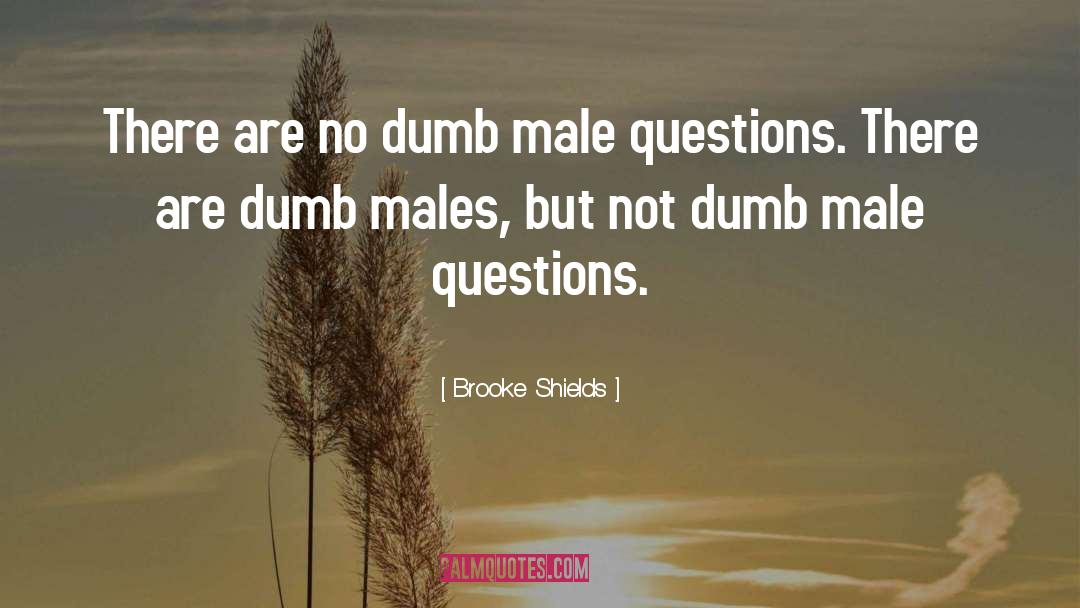 Brooke Shields Quotes: There are no dumb male