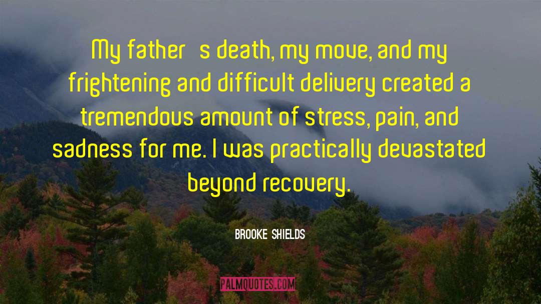 Brooke Shields Quotes: My father's death, my move,