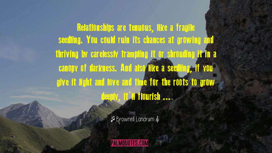 Brownell Landrum Quotes: Relationships are tenuous, like a