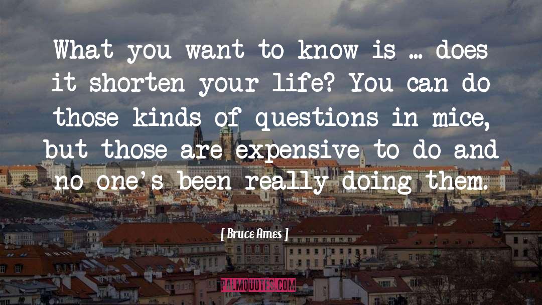 Bruce Ames Quotes: What you want to know