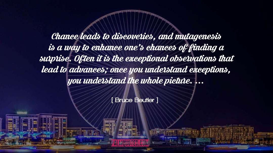 Bruce Beutler Quotes: Chance leads to discoveries, and