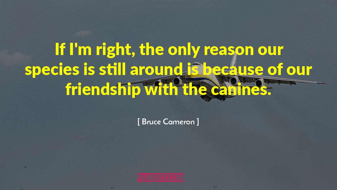 Bruce Cameron Quotes: If I'm right, the only