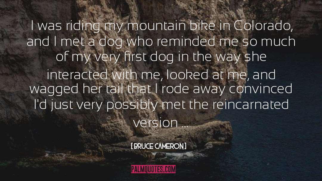 Bruce Cameron Quotes: I was riding my mountain