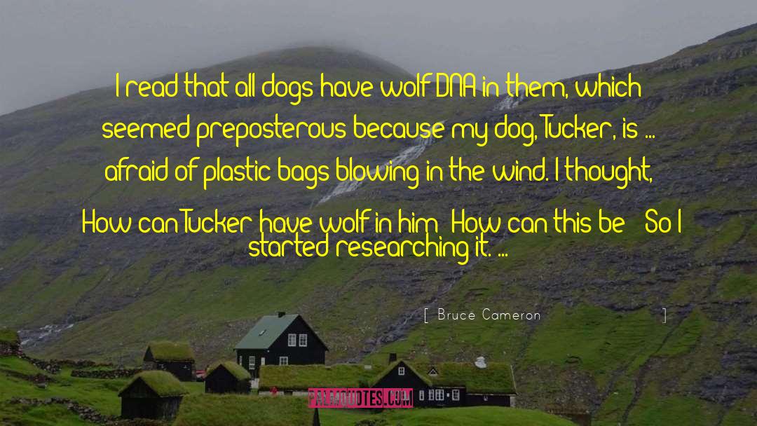 Bruce Cameron Quotes: I read that all dogs