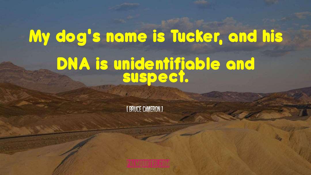 Bruce Cameron Quotes: My dog's name is Tucker,