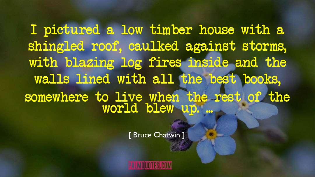 Bruce Chatwin Quotes: I pictured a low timber