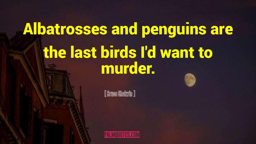 Bruce Chatwin Quotes: Albatrosses and penguins are the