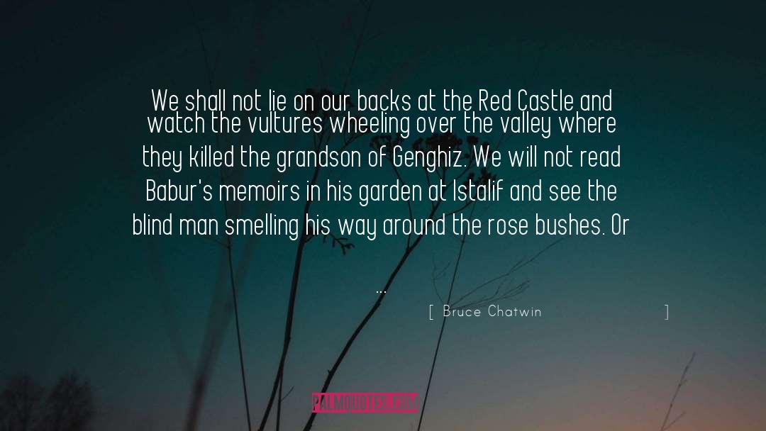 Bruce Chatwin Quotes: We shall not lie on