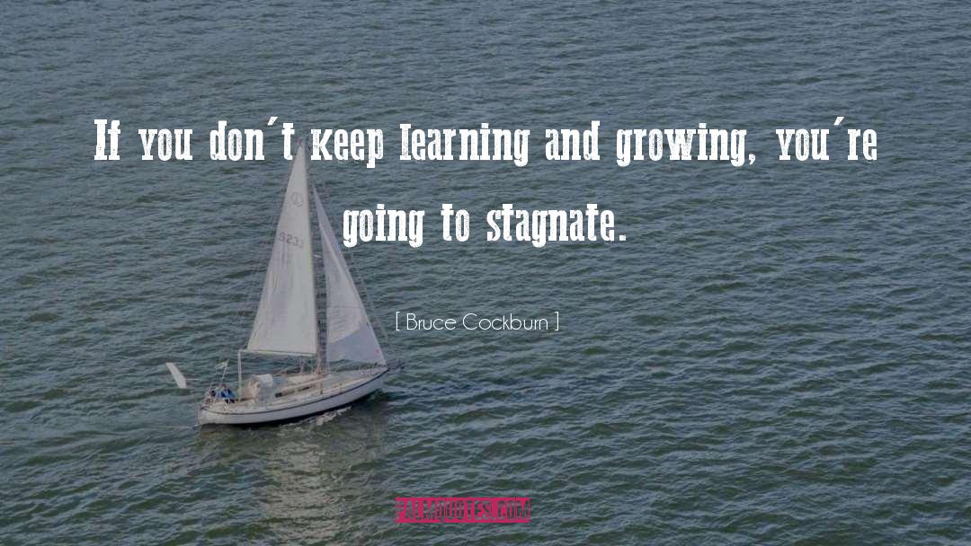 Bruce Cockburn Quotes: If you don't keep learning