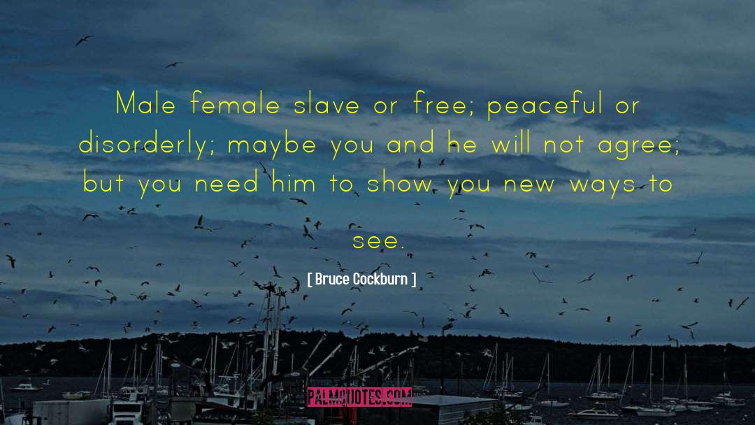 Bruce Cockburn Quotes: Male female slave or free;