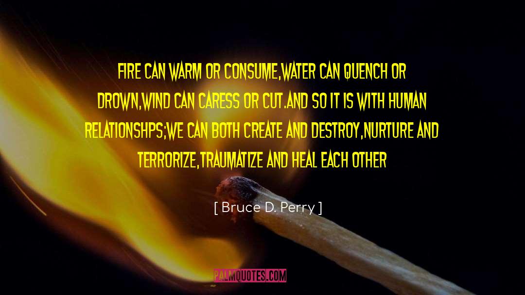 Bruce D. Perry Quotes: Fire can warm or consume,<br>water