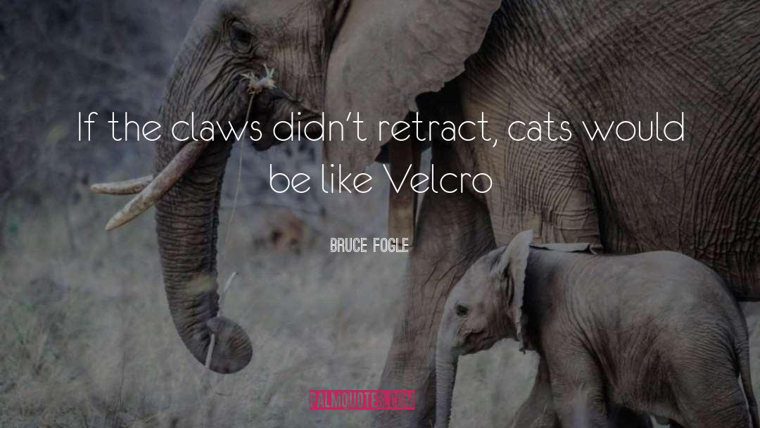 Bruce Fogle Quotes: If the claws didn't retract,