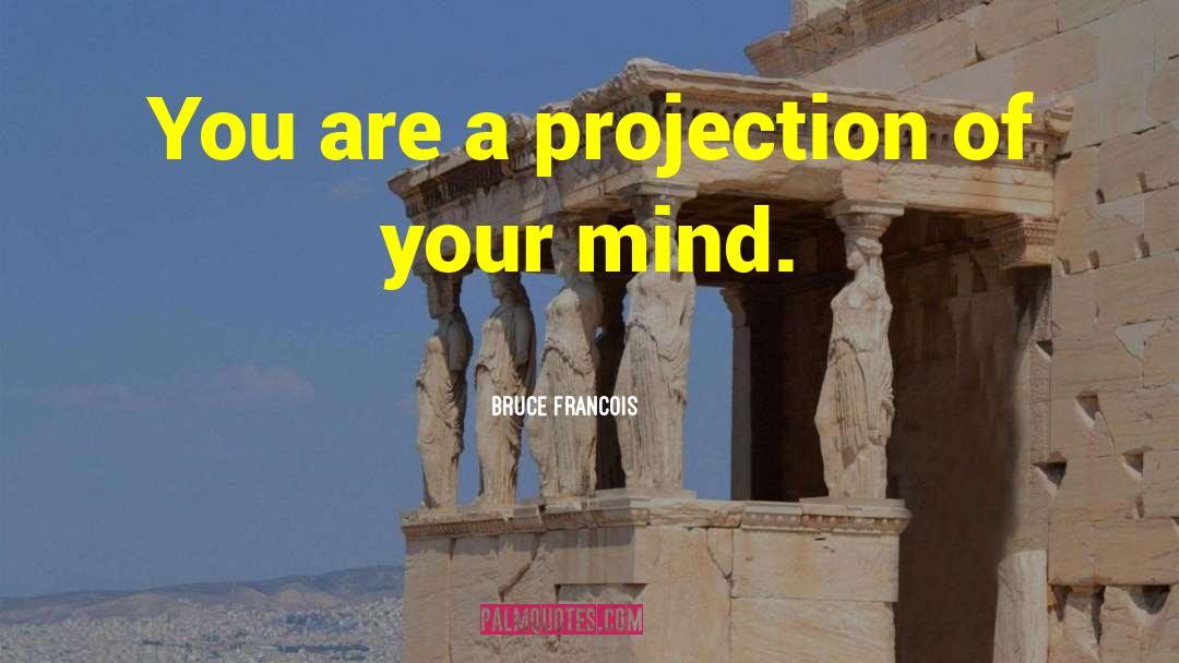 Bruce Francois Quotes: You are a projection of