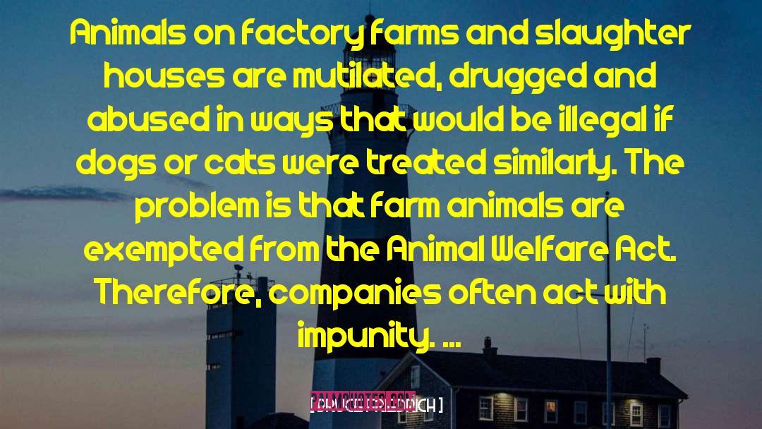Bruce Friedrich Quotes: Animals on factory farms and