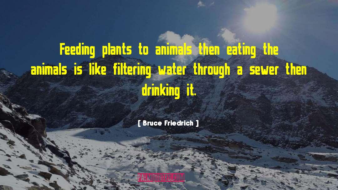 Bruce Friedrich Quotes: Feeding plants to animals then