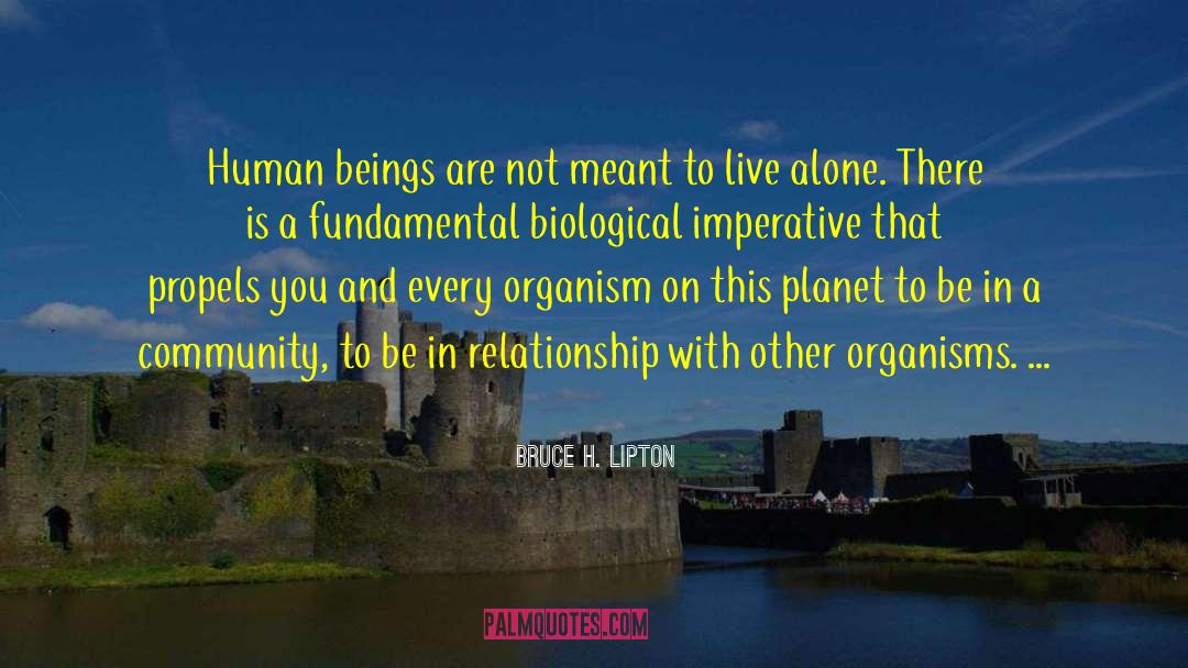 Bruce H. Lipton Quotes: Human beings are not meant