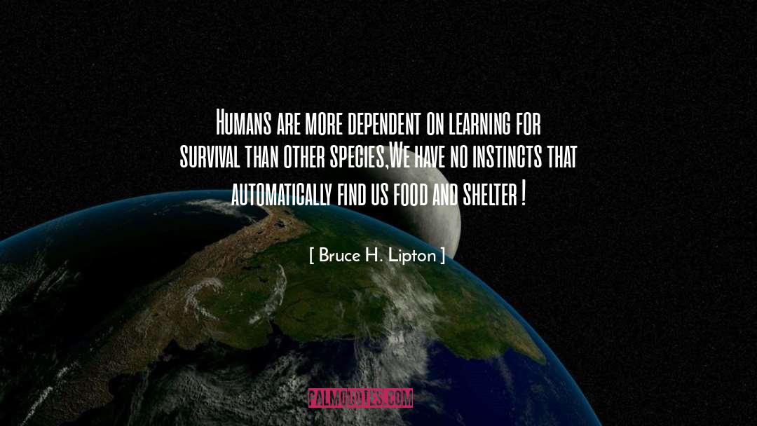 Bruce H. Lipton Quotes: Humans are more dependent on