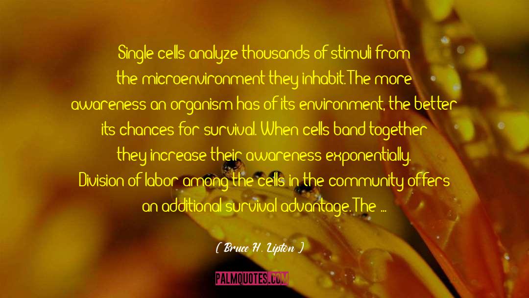 Bruce H. Lipton Quotes: Single cells analyze thousands of