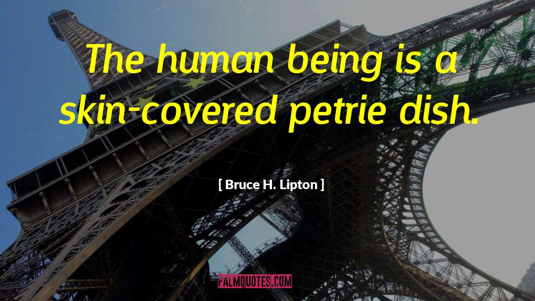 Bruce H. Lipton Quotes: The human being is a