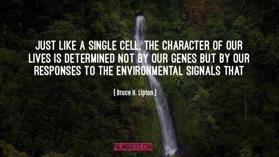 Bruce H. Lipton Quotes: Just like a single cell,