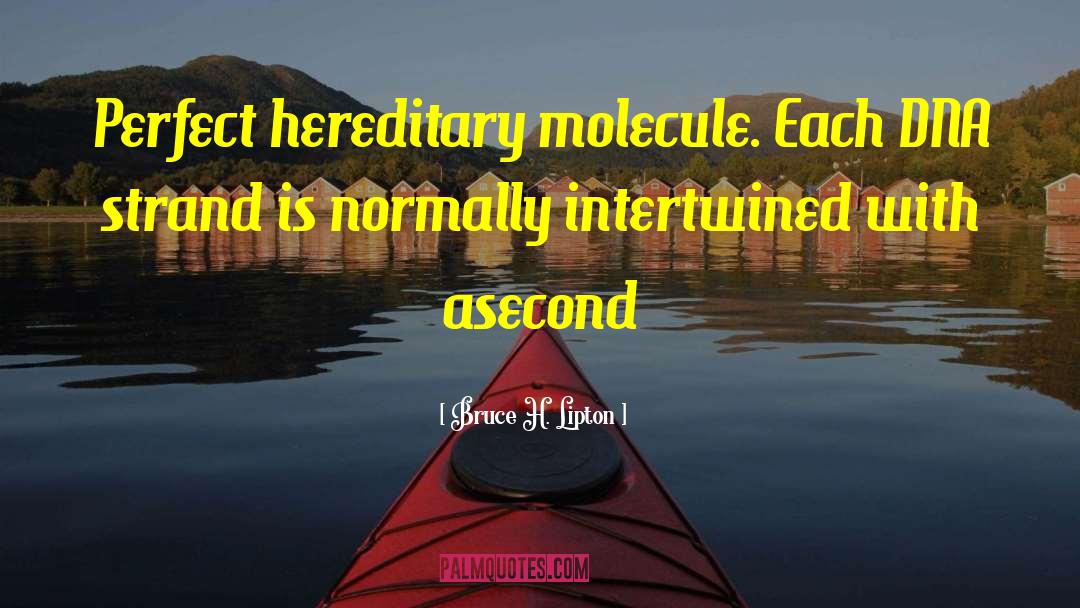 Bruce H. Lipton Quotes: Perfect hereditary molecule. Each DNA